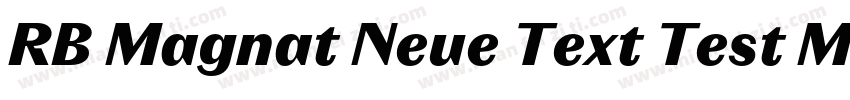 RB Magnat Neue Text Test Medium字体转换